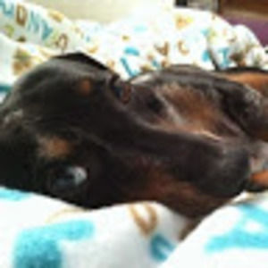 Meet your Posher, Melisa